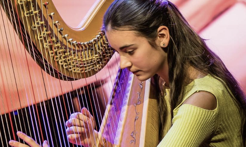 Anna Petrovitsch, Harp